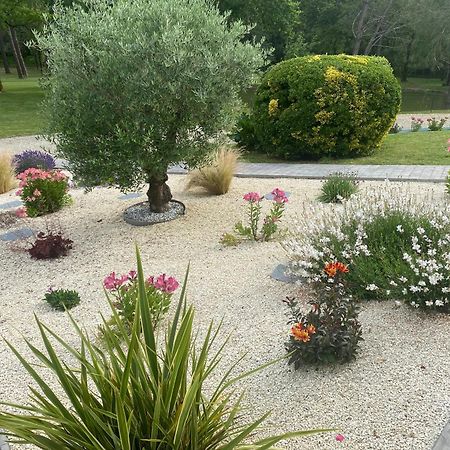 Les Pins Perdus Bed & Breakfast Saint-Ciers-d'Abzac Exterior photo