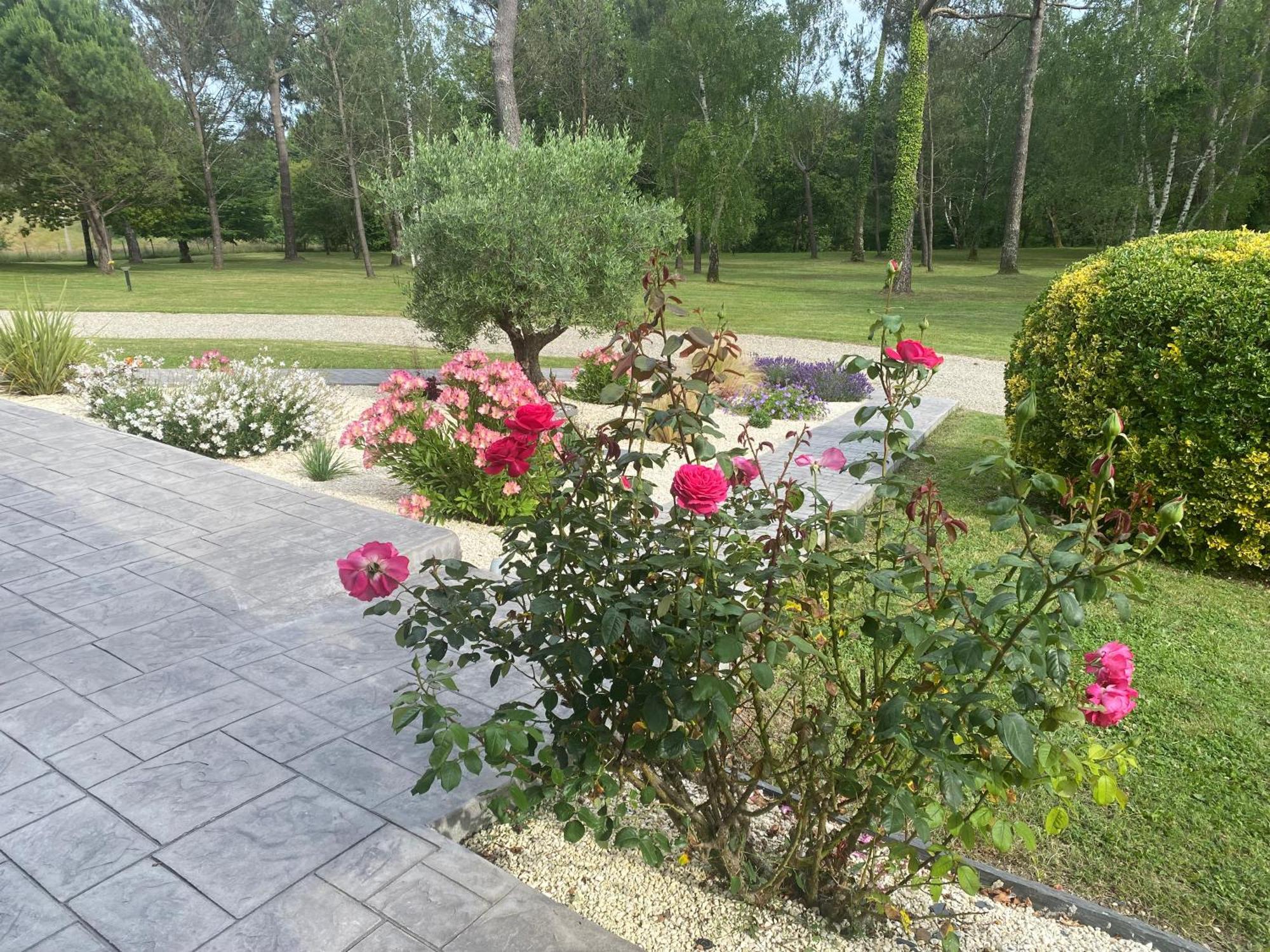 Les Pins Perdus Bed & Breakfast Saint-Ciers-d'Abzac Exterior photo