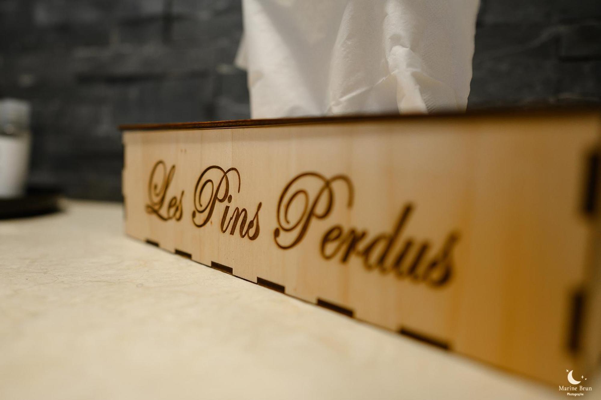 Les Pins Perdus Bed & Breakfast Saint-Ciers-d'Abzac Exterior photo